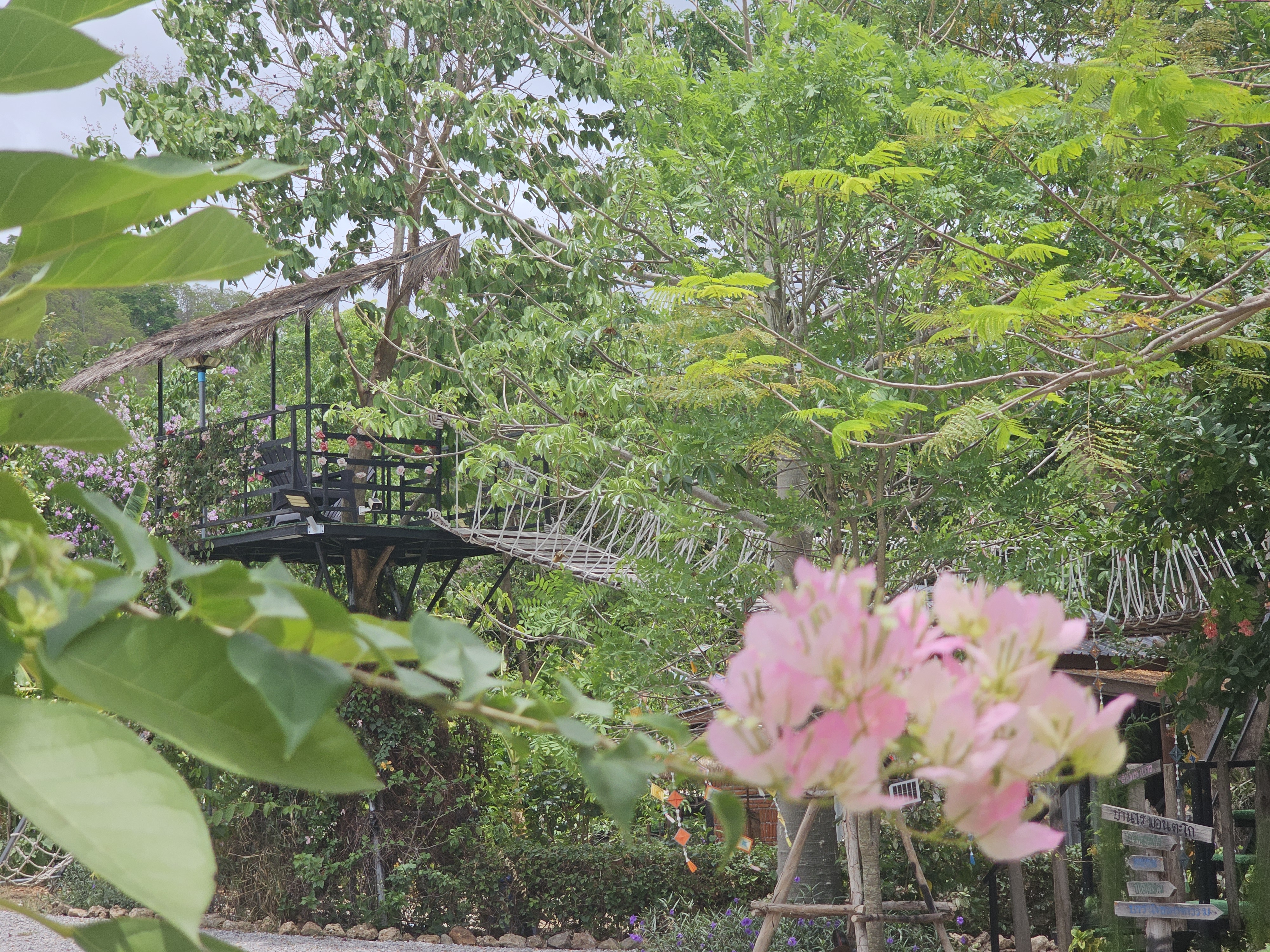 สระน้ำ น้ำพุ บรรยากาศดี