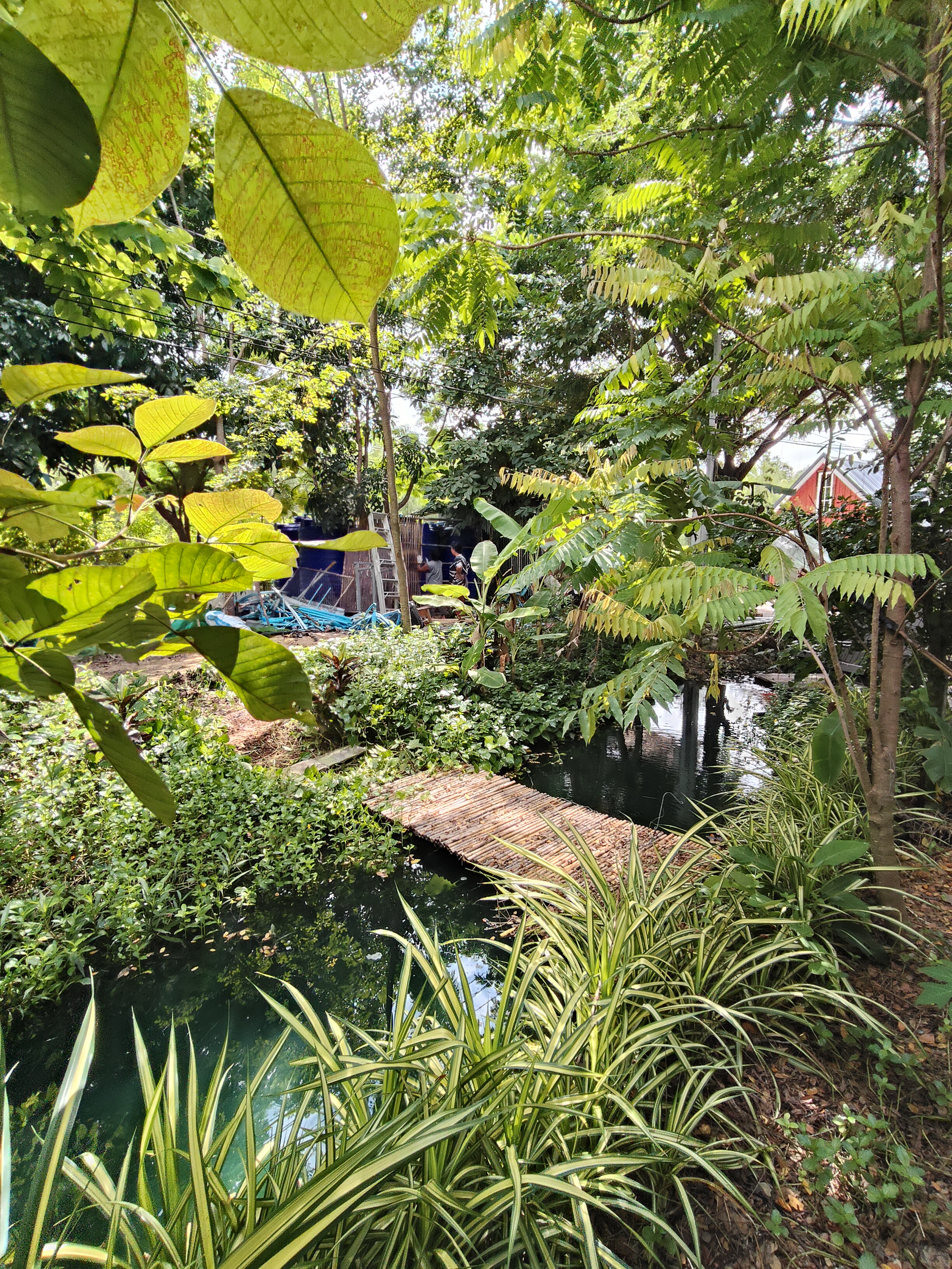 ไร่ม่อนตะโก ทิวทัศน์ภูเขา